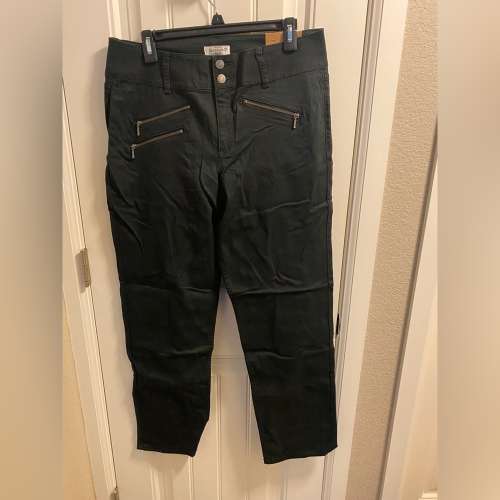 NWT Nevermind Pants 14 Black Zip Pocket Stretch Straight Leg Slacks Limited Ed